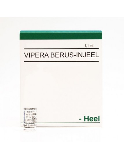 Guna Vipera Berus Injeel 10 fiale Heel