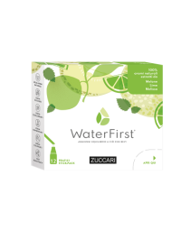 WaterFirst Insaporitore Bevande Gusto Melone, Lime, Melissa Formato 12 Stick