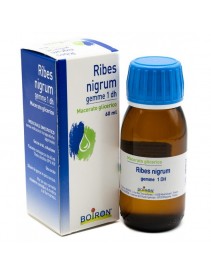 Boiron Ribes Nigrum Gemme 60ml