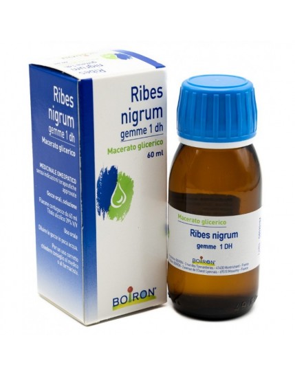 Boiron Ribes Nigrum Gemme 60ml