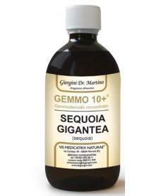 Dr. Giorgini Gemmo 10+ Sequoia Liquido Analcolico 500ml