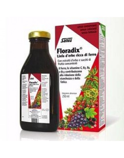 Floradix Ferro 250ml