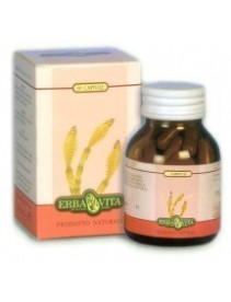 Erba Vita Centella 60 Capsule 450mg