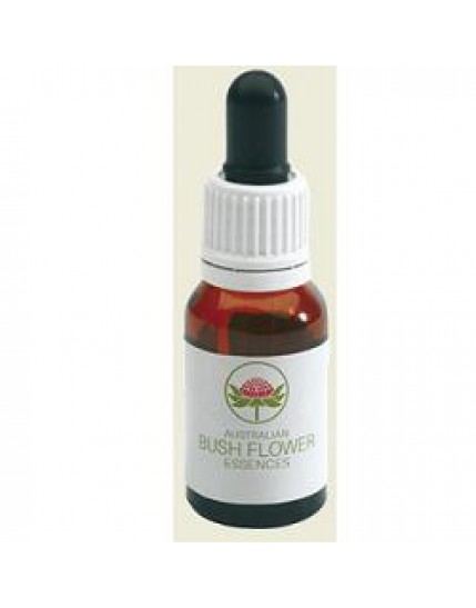 Green Remedies Bush Fuchsia Gocce 15ml - supporto per agire e seguire l'istinto