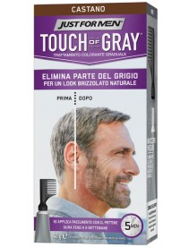 Just For Men Touch Of Gray Castano