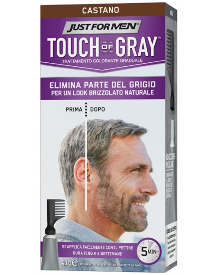 Just For Men Touch Of Gray Castano