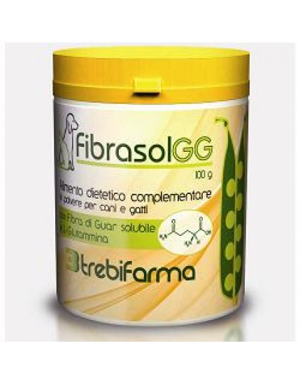 Fibrasol Gg 100g