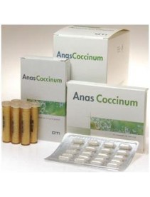 Anas Coccinum H 17 Bli20cps