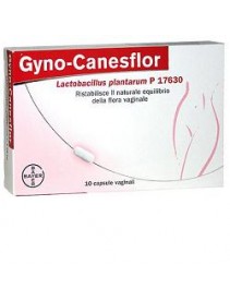Gynocanesflor 10 Caspule Vaginali