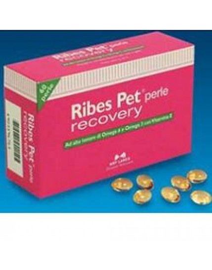 Ribes Pet Recovery 60prl