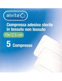 Alvita Garza Adesiva Sterile Tnt 10x12,5cm 5 pezzi