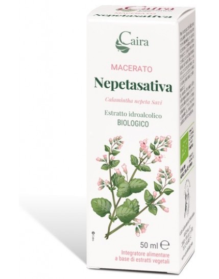 Nepetasativa Macerato Caira