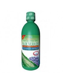 ESI Aloe Vera Succo Mirtillo 1000ml