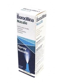 Neoborocillina 0,05 Spray Nasale Soluzione 1 Flacone 15ml