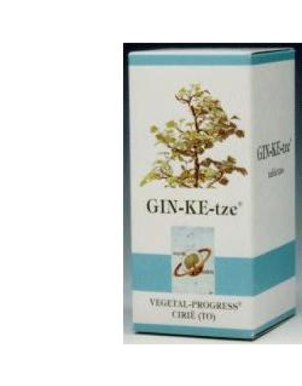 GINKETZE 80TAV 600MG VGP