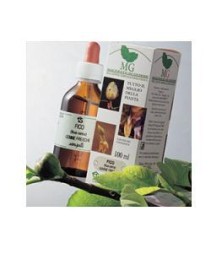 ROSA CANINA 100ML MG