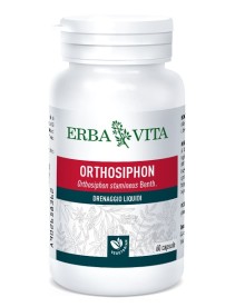 ORTHOSIPHON 60 Cps 400mg   EBV