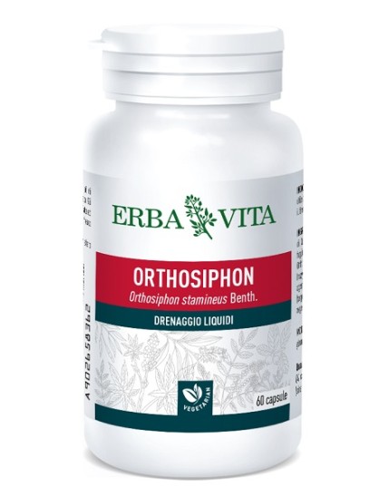 ORTHOSIPHON 60 Cps 400mg   EBV