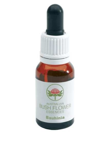 BAUHINIA AUSTRALIAN 15ML