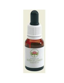 MINT BUSH 15ML GTT