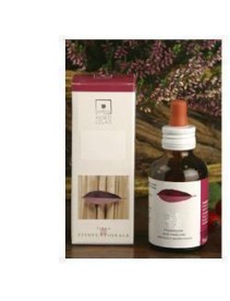 CORNUS SANGUINEA MG 50ML STV