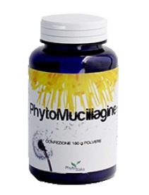 PHYTOMUCILLAGINE POLVERE 180G