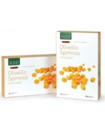 OLIVELLO SPINOSO BIO 20AB