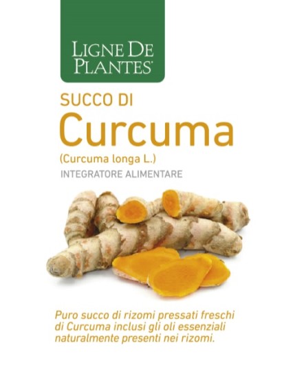 CURCUMA Bio Succo 250ml NSE
