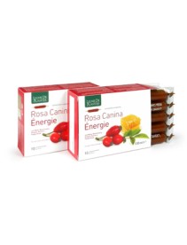 ROSA CANINA ENERGIE BIO 10AB