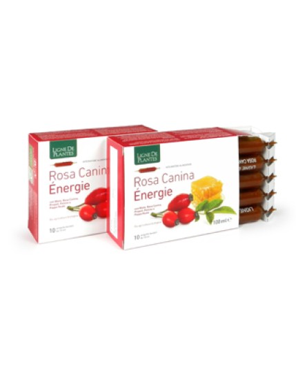 ROSA CANINA ENERGIE BIO 10AB