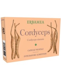 CORDYCEPS 24CPS VEGETALI ERBAMEA