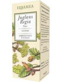JUGLANS REGIA NOCE BIO 50ML