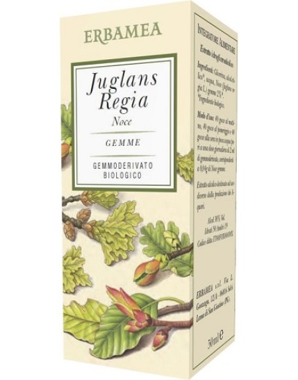 JUGLANS REGIA NOCE BIO 50ML JUGLANS REGIA NOCE BIO 50ML