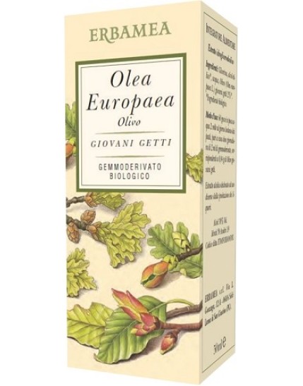 OLEA EUROPEA OLIVO 50ML