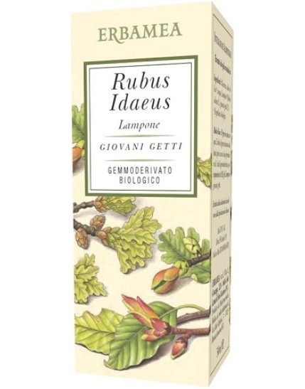 RUBUS IDAEUS LAMPONE 50ML