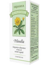 SINERGICUM PILOSELLA 50CPR