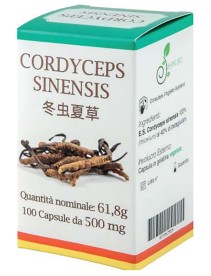 CORDYCEPS 100CPS