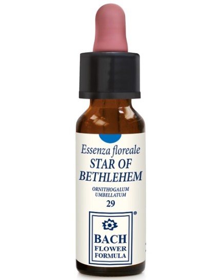 STAR OF BETHLEHEM 10ML GTT