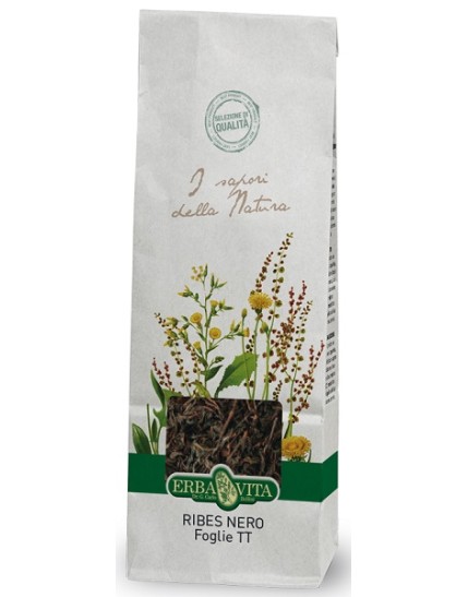 RIBES NERO FOGLIE 100G