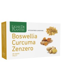 BOSWELLIA/CURC/ZENZ.60Cps NSE