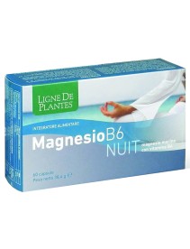 MAGNESIO B-6 NUIT 72CPS