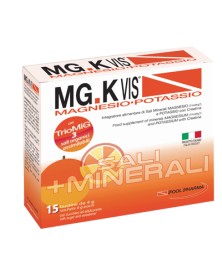 Mgk Vis Orange Magnesio Potassio 15 bustine