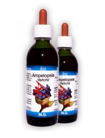 AMPELOPSIS VEITCHII MG 150ML D