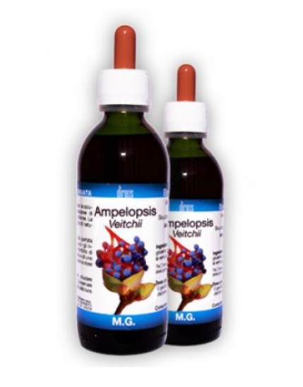 AMPELOPSIS VEITCHII MG 150ML D