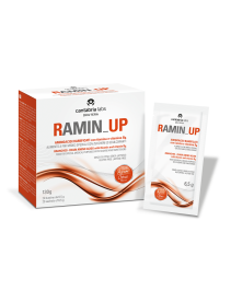 RAMIN UP 20 Bust.Agrumi 6,5g