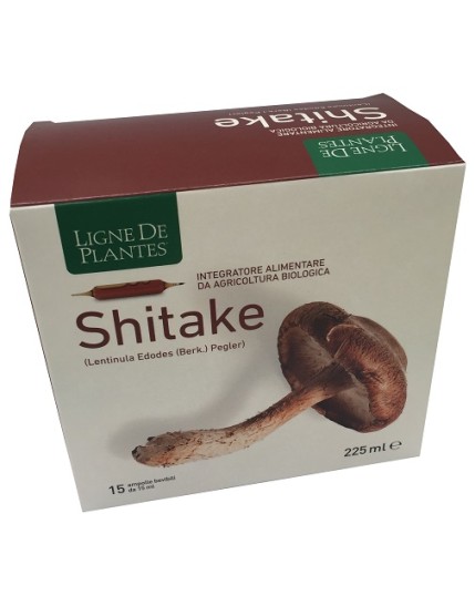 LIGNE SHITAKE BIO 15AMP 15ML