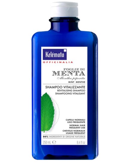 SHAMPOO MENTA 250ML