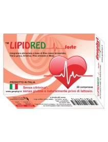 LIPIDRED FORTE 28CPR