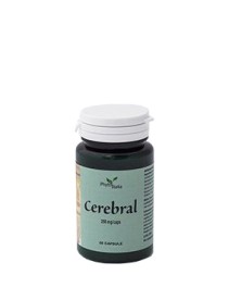 CEREBRAL AYURVED 60CPS