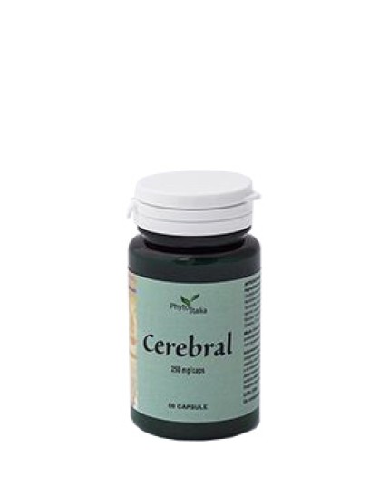 CEREBRAL AYURVED 60CPS